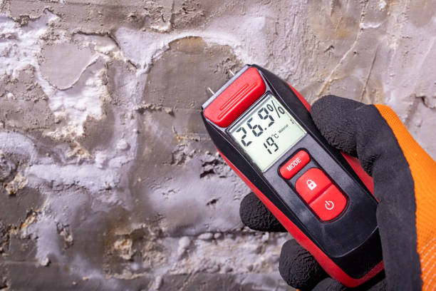 Best Professional Mold Removal  in Round Lake Park, IL