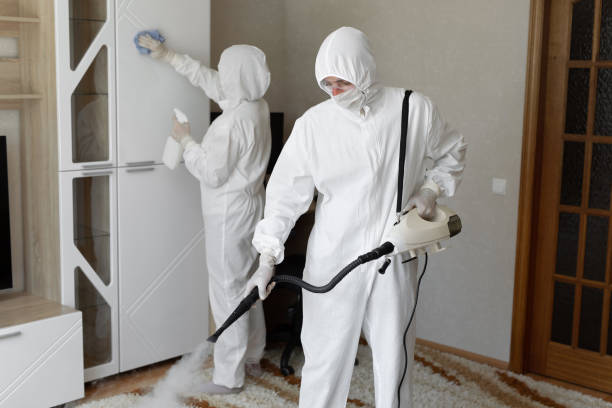 Mold Removal Process in Round Lake Park, IL